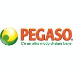 Pegaso Pegaso
